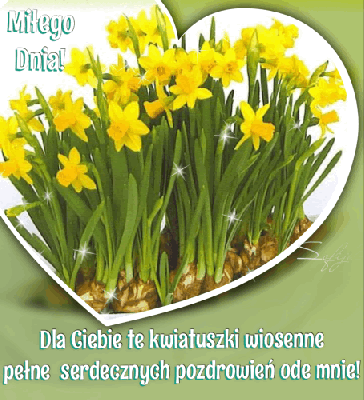 Żonkile i serdeczne wiosenne pozdrowienia